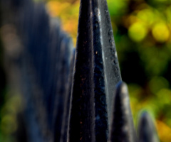 Bokeh