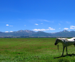 Erzurum