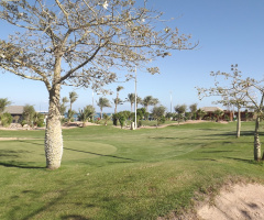 Egypt -Hurghada
