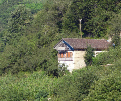 Karadeniz