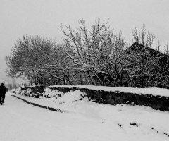 winter landscape