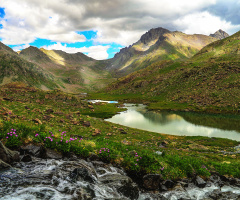Kaçkar Yaylaları +2500 Mt.