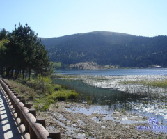 Abant / Bolu