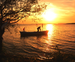 Gölyazı
