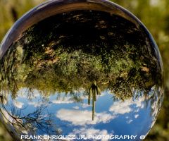 More Refraction Photography 2/16/15
