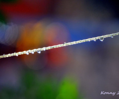 the clothes line.. :)))) 