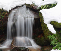 Suuçtu Sol Yan Dere ve Kar