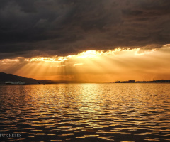İzmit/KOCAELİ