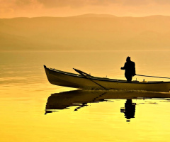 Yansıma-Reflection