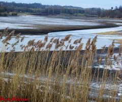 Bucher Stausee