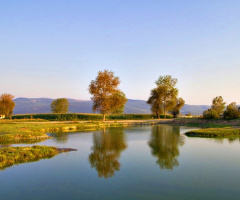 Manzara-Landscape