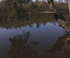 Bärensee (Stuttgart/Baden-Württemberg/Germany)