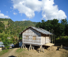 Home