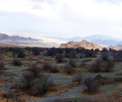 the Lap of Chiltan Mountain,Quetta