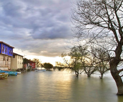 Gölyazı; Bursa