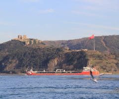 Dalğalan Şanlı Bayrağım