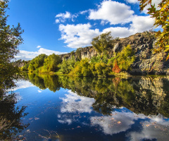 Adala/SALİHLİ