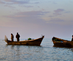 Balıkçılar-Fishermen