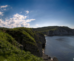 Kilimli Koyu