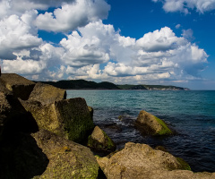 Ağva
