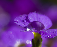 After Rain Comes Sun
