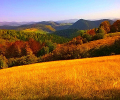 October colors