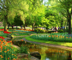 spring park