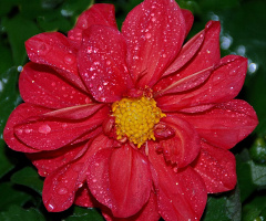 After  rain