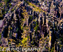 Chiricahua Mountains Day Trip 5/9/15