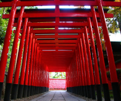 The way into the shrine