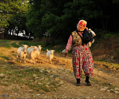 Anadolu'dan ...