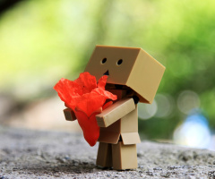 Danbo 2