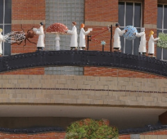 Koffler Bldg. University Of Arizona