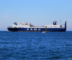Mavi