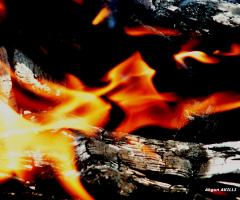 ateşin sevgiliye kavuşması