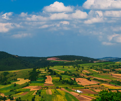 Tarlalar