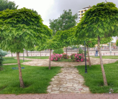 Park