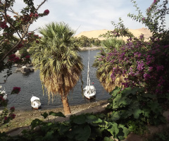 Egypt - Aswan - sailboats