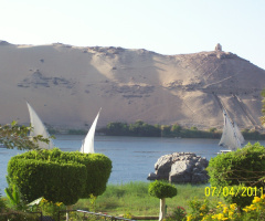 Egypt - Aswan - sailboats