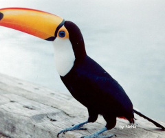 Tucano