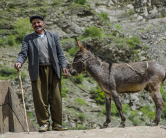 Gülümse