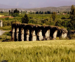 Tarım ve tarih