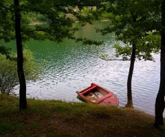 On the lake