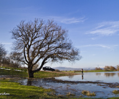Uluabat, Bursa