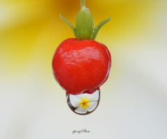 Fruit and dew