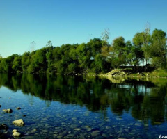 kuş cenneti