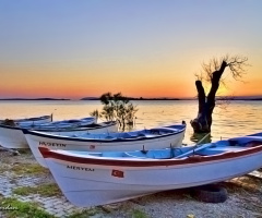 Gölyazı; Bursa