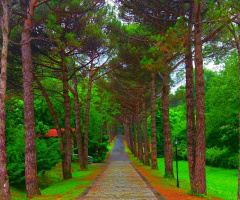 Yol Var Gidersen 
