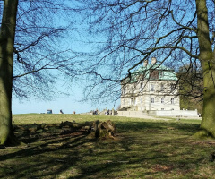 In Dyrehaven - Cph.