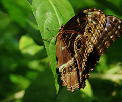 A little rest...